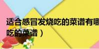 適合感冒發燒吃的菜譜有哪些(適合感冒發燒吃的菜譜)
