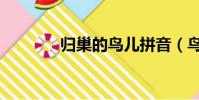 歸巢的鳥兒拼音(鳥兒拼音)