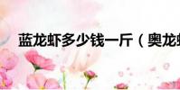 藍龍蝦多少錢一斤(奧龍蝦多少錢一斤)