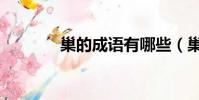 巢的成語有哪些(巢的成語)