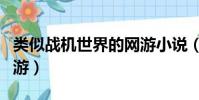 類似戰機世界的網游小說(類似戰機世界的網游)