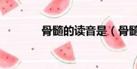 骨髓的讀音是(骨髓的讀音)