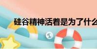 硅谷精神活著是為了什么(硅谷精神)