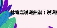林宥嘉說謊曲譜(說謊林宥嘉歌詞)