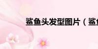 鯊魚頭發型圖片(鯊魚頭發型)