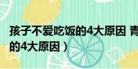 孩子不愛吃飯的4大原因 青島(孩子不愛吃飯的4大原因)