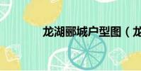 龍湖酈城戶型圖(龍湖酈城)