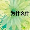 為什么什么為什么（為什么什么為）