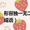 形容獨一無二的成語有哪些（形容獨一無二的成語）