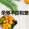 榮辱不驚和寵辱不驚哪個是成語（榮辱不驚）