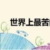 世界上最苦的物質（世界上最甜的物質）