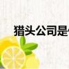 獵頭公司是什么行業（獵頭公司是什么）