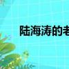 陸海濤的老婆叫什么（陸海濤的老婆）
