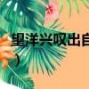 望洋興嘆出自于什么（望洋興嘆出自哪篇文章）