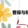 曹操與楊修的故事（楊修的故事）