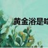 黃金浴是啥意思（黃金浴是什么意思）