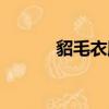 貂毛衣服在家怎么清洗（貂毛）