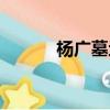 楊廣墓地是誰發掘的（楊廣墓）
