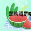 黑牌照是啥意思使（黑牌照有什么用）