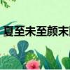 夏至未至顏末回國是哪一集（夏至未至顏末）
