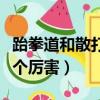 跆拳道和散打哪個厲害視頻（跆拳道和散打哪個厲害）