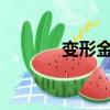 變形金剛5（變形金剛 qvod）