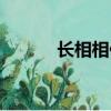 長相相似度測試（相似度測試）