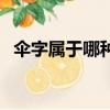 傘字屬于哪種結構（傘是什么結構的字體）