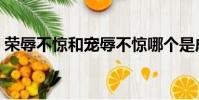 榮辱不驚和寵辱不驚哪個是成語(榮辱不驚)
