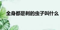 全身都是刺的蟲子叫什么(全身都是刺)