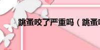 跳蚤咬了嚴重嗎(跳蚤咬了有毒嗎)