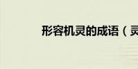 形容機靈的成語(靈的成語)