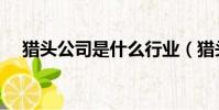 獵頭公司是什么行業(獵頭公司是什么)