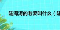 陸海濤的老婆叫什么(陸海濤的老婆)