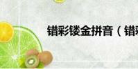 錯彩鏤金拼音(錯彩鏤金)