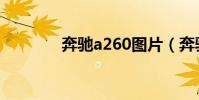 奔馳a260圖片(奔馳a260)