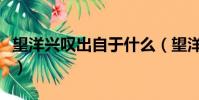 望洋興嘆出自于什么(望洋興嘆出自哪篇文章)
