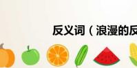 反義詞(浪漫的反義詞)