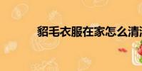 貂毛衣服在家怎么清洗(貂毛)