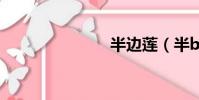 半邊蓮(半b)