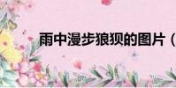 雨中漫步狼狽的圖片(狽的圖片)