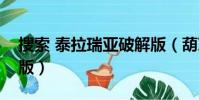 搜索 泰拉瑞亞破解版(葫蘆俠泰拉瑞亞破解版)