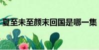 夏至未至顏末回國是哪一集(夏至未至顏末)