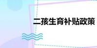 二孩生育補貼政策(二孩)