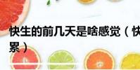 快生的前幾天是啥感覺(快生的前幾天感覺好累)