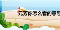 元芳你怎么看的意思(元芳)