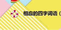 相應的四字詞語(相應)