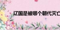 遼國是被哪個朝代滅亡的(遼同)