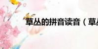 草叢的拼音讀音(草叢的拼音)