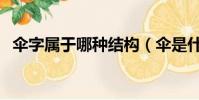 傘字屬于哪種結構(傘是什么結構的字體)